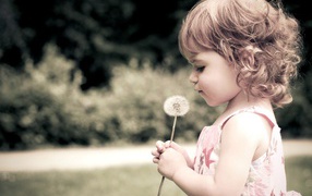Child and dandelion