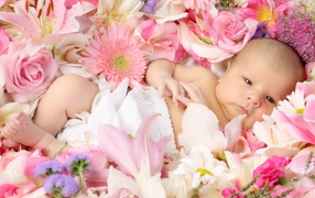 Малыш среди цветов