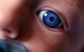 Взгляд на незнакомый мир