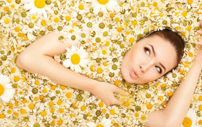 В море ромашек