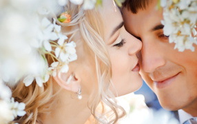 Молодожены