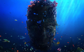 Лицо Бермудского треугольника