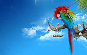 Bright Parrot