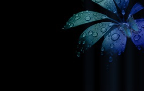 Бабочка на цветке