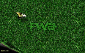 Бабочка на зеленой траве