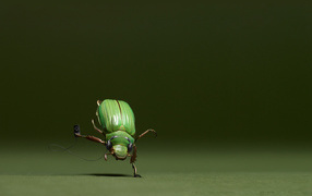 Dancing Beetle