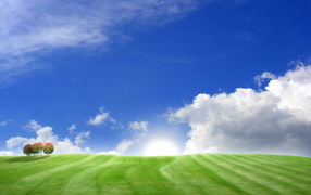 Зеленое поле и голубое небо