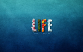 Жизнь
