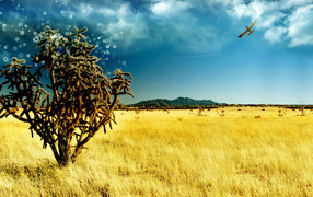 Волшебное дерево