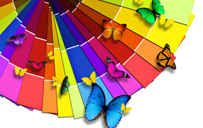 Multi-coloured butterflies