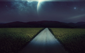 Ночная дорога