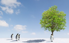 Penguins and tree