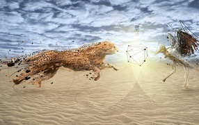 Хищник и птица