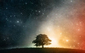 Звездное небо