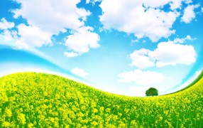 Крутая полянка