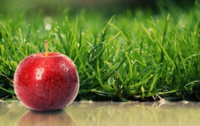 Сладкое яблочко