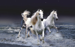 Тройка белых коней