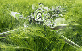 Пшеничное поле