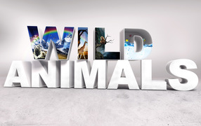 Дикие животные