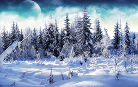 Зимний лес