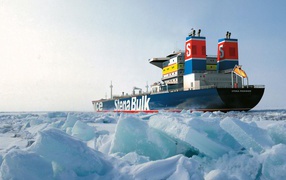 В Арктических льдах