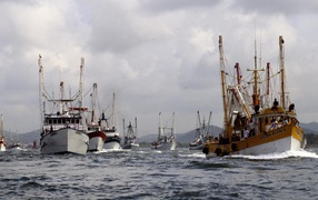 Суда в гавани