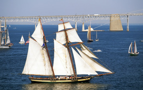 Белые паруса