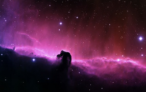 Туманность Лошади