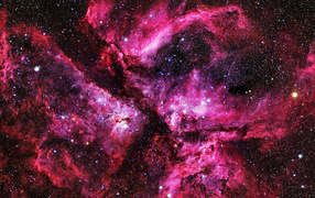 Тысячи звезд