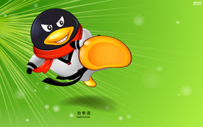 Единоборства / Олимпиада 2008