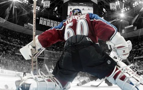 Жозе Теодор, НХЛ