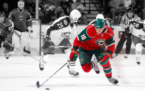 Minnesota Wild, NHL