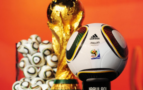 Чемпионат мира по футболу 2010, ЮАР