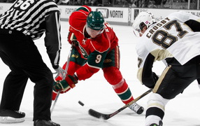 хоккей, лед, шайба