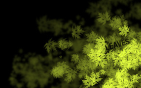 Кленовые листья