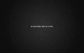 Не будь глупцом, делай свою работу