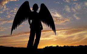 Тень ангела