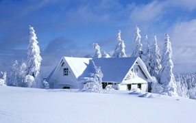 Snow-covered house