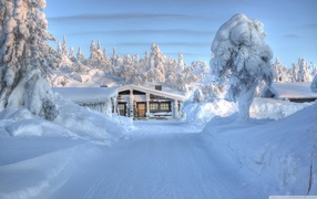 Дом в снежном плену
