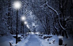 Winter evening on the street