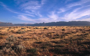 Karoo - Кару / Африка