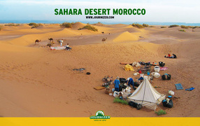 Sahara Desert / Africa