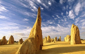 The Pinnacles / Nambung National Park / Western  Australia