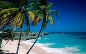 Beach Bottom Bay Barbados
