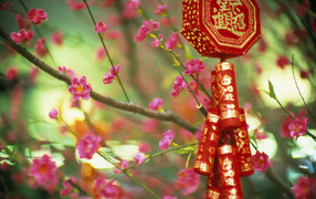 Цветущие растения в Китае