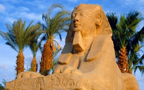 Sphinxes, Egypt