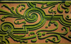 Сад недалеко от замка