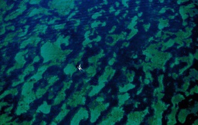 Архипелаг Гленан