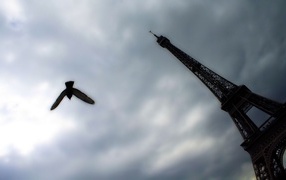 Различная точка обзора