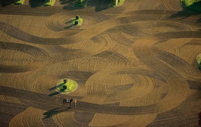 Лошадиная арена Франция